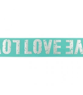 Mint LOVE elastik 4cm