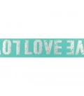 Mint LOVE elastik 4cm