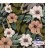 Bomuldsjersey blomster sort - Økotex - 150 cm